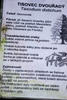Tisovec- popis