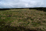 Krkonošská tundra